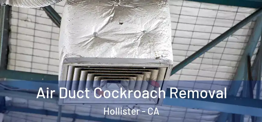  Air Duct Cockroach Removal Hollister - CA