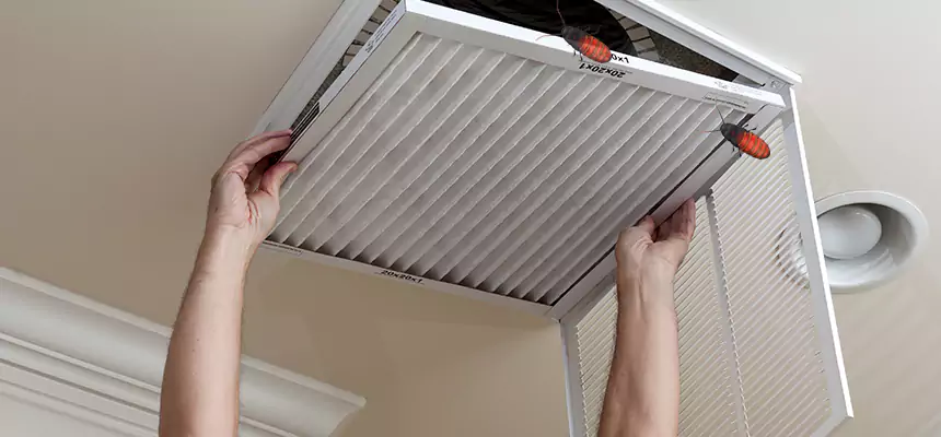 Preventive Cockroach-Proofing for Ducts in Hollister