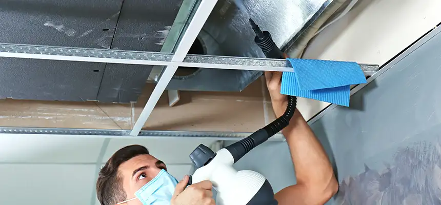 Our Air Duct Rodent Removal Services in Hollister, CA