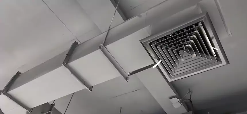 Our Pest Removal From Ducts Services in Hollister, CA