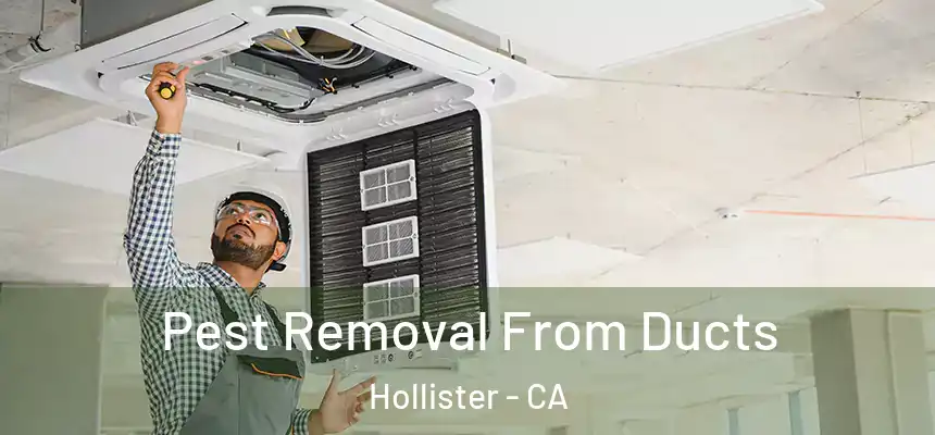  Pest Removal From Ducts Hollister - CA