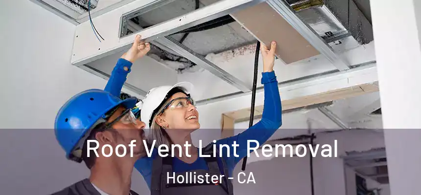  Roof Vent Lint Removal Hollister - CA