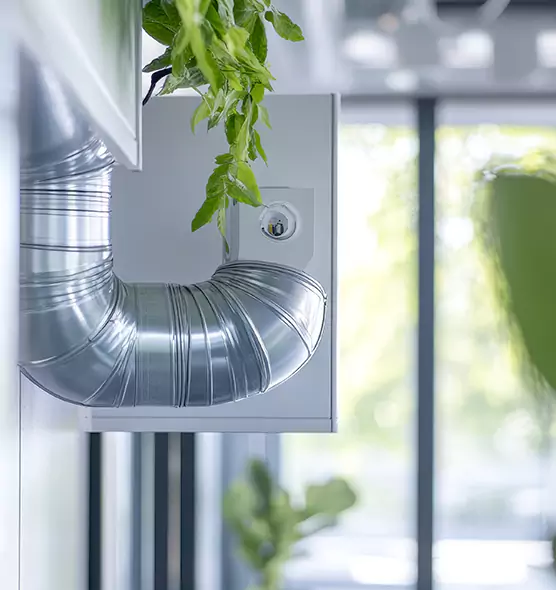 Professional Eco-Safe Dryer Vent Cleaning in Hollister, CA