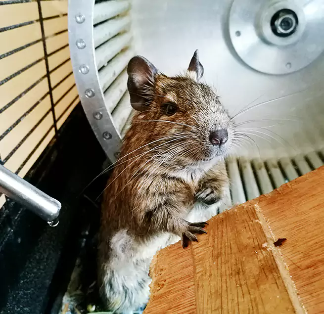 Why Homeowners & Businesses Trust Us Hollister, CA