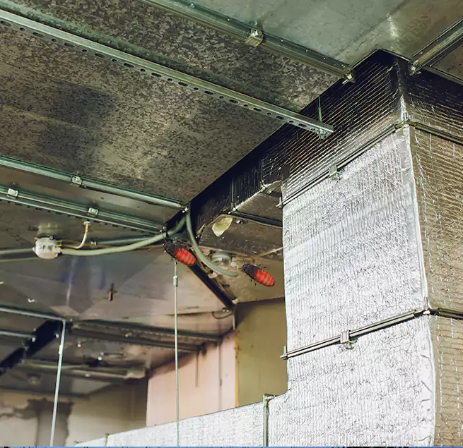 Why Homeowners & Businesses Trust Us Hollister, CA?