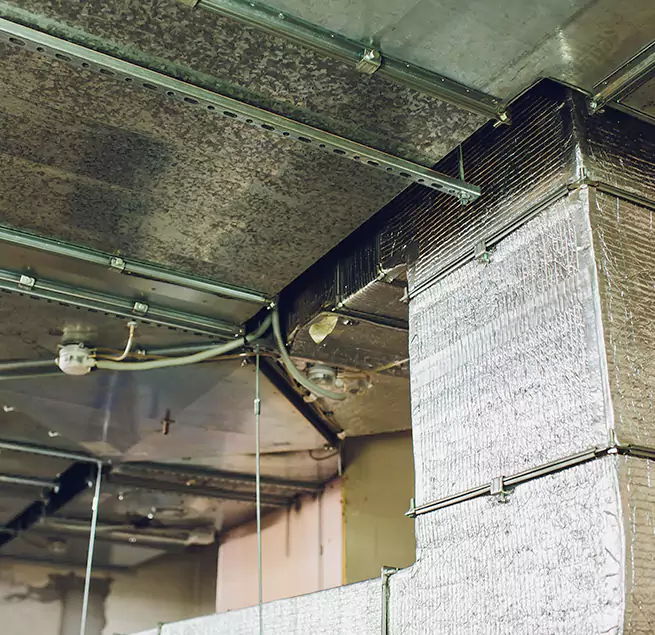 Why Homeowners & Businesses Trust Us in Hollister, CA?